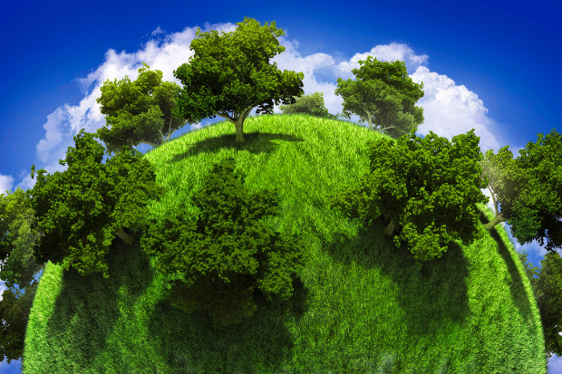 Bumi itu Bulat, Kecuali Kalau Kamu Tidur di Kasur Datar