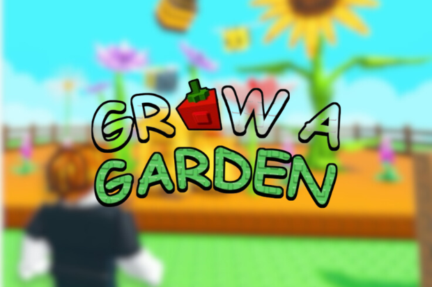 Dari Tukang Kentang Biasa Jadi Sultan Roblox